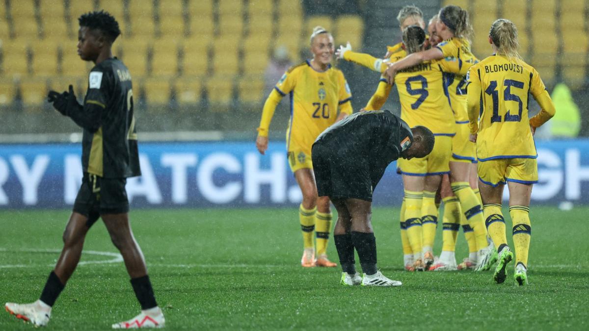 Suecia rival de Argentina en el Grupo G venci en el final a Sudfrica Foto AFP